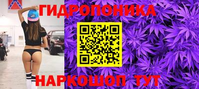 прущие грибы Мариинск
