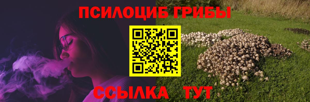 Псилоцибиновые грибы Magic Shrooms Дмитров