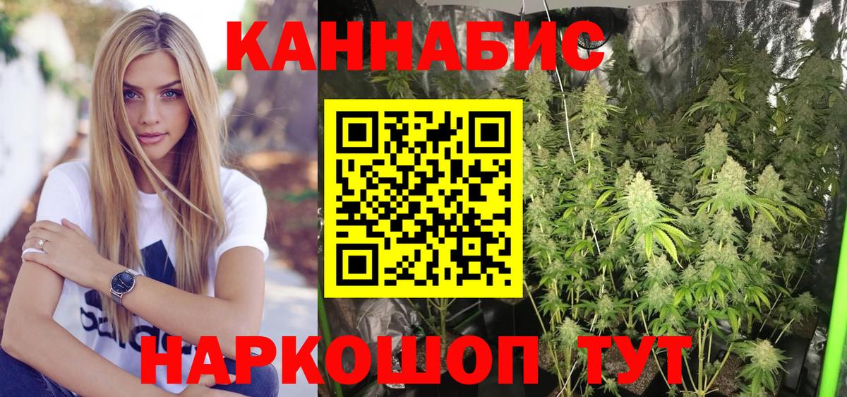 Бошки марихуана Amnesia Дмитров